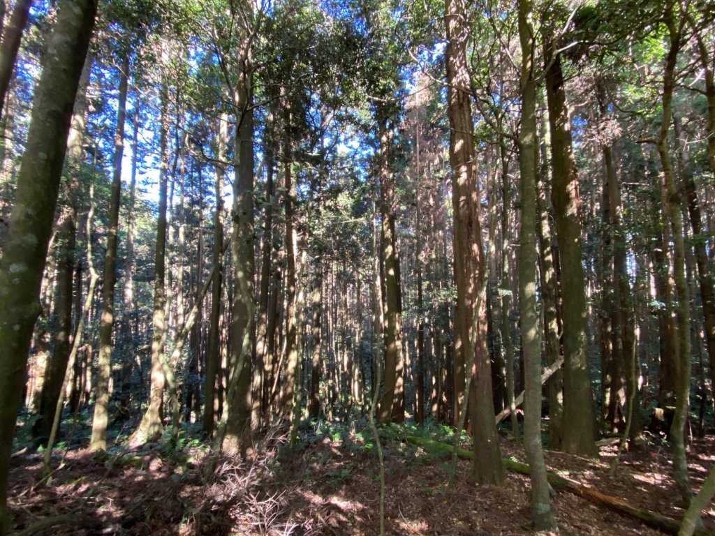 苗栗泰安-水雲三星-橫龍山_2612870