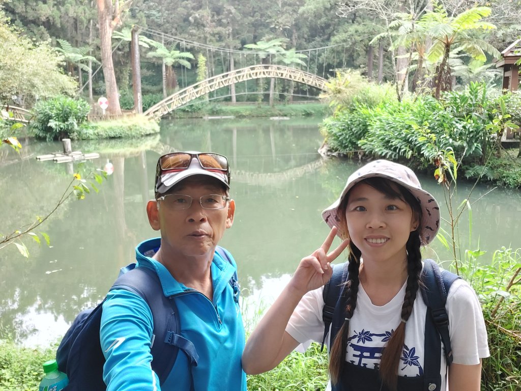 溪頭走出一片葉子_1156491