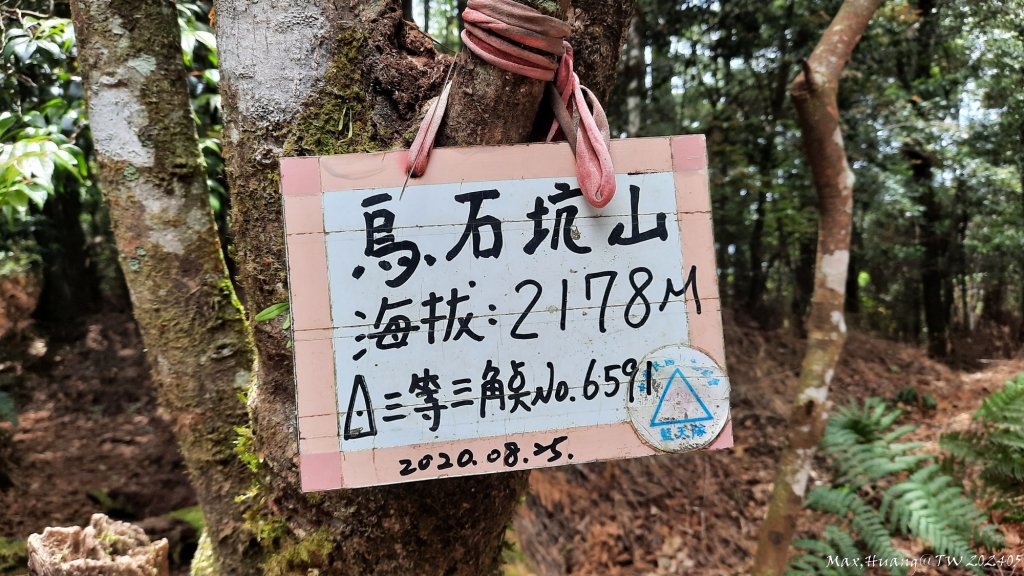 《台中》林道獨角獸｜大雪山210林道（船型山林道）上烏石坑山20240518_2506530