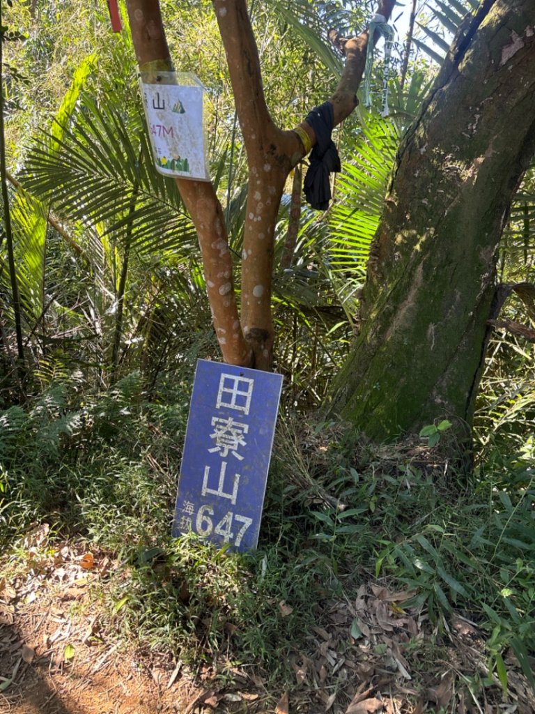 20241013新竹橫山田寮山-麒麟古道封面圖