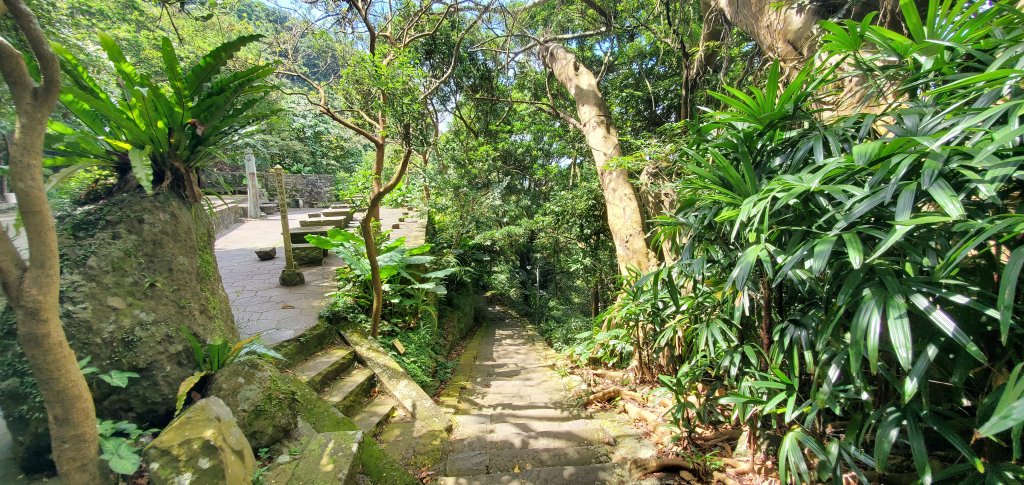 2024-06-15觀音山【福隆山、尖山(占山)登山步道】O走_2528181