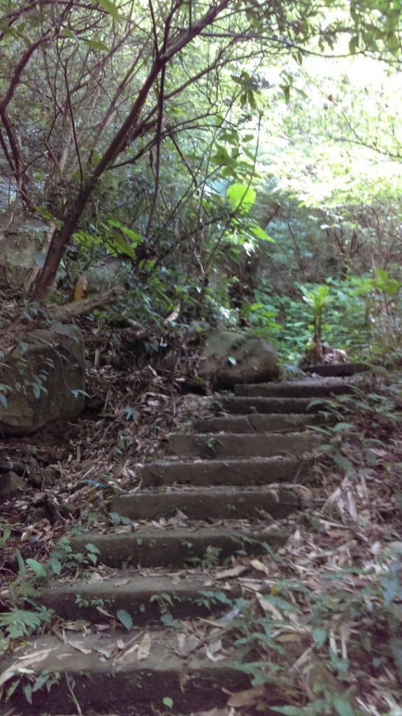 【臺北親山拓印趣】天母古道、翠峰瀑布_1020079