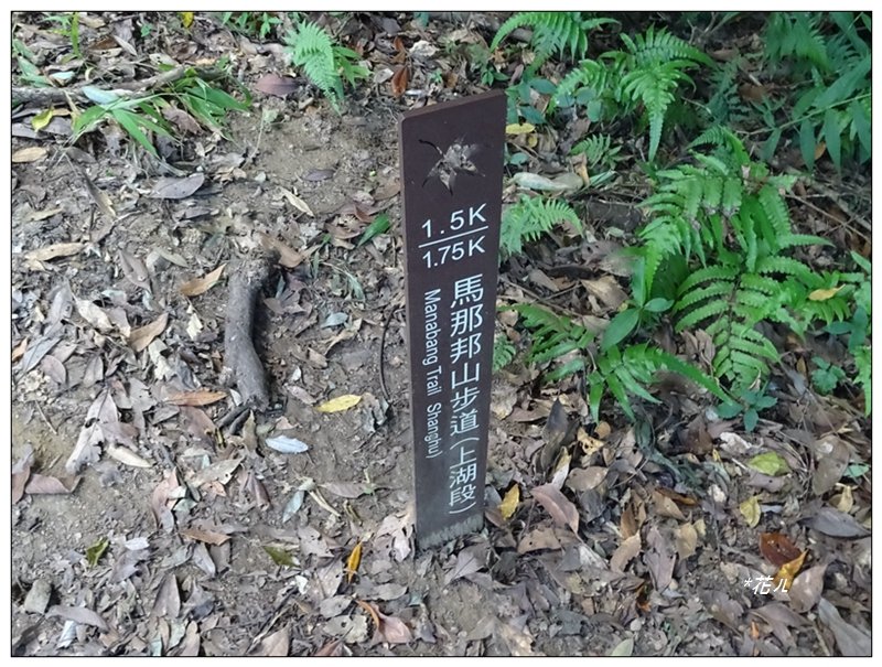 馬那邦山(小百岳)/上湖登山口_2427046