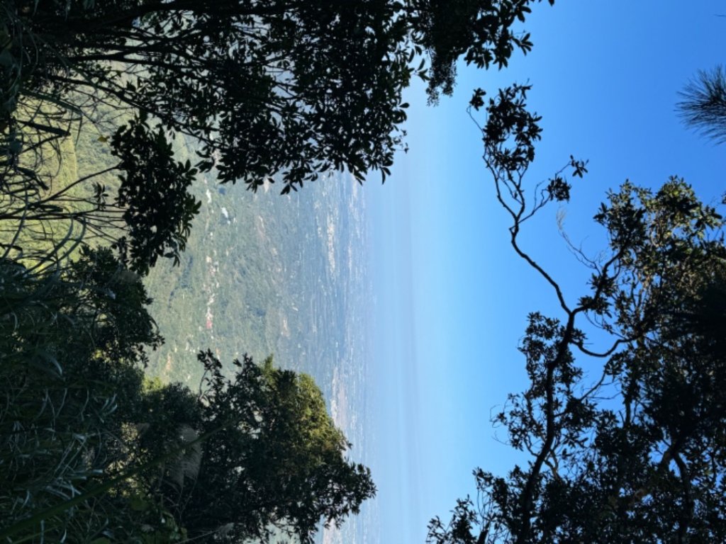 台南市白河區、嘉義縣大埔鄉交界，小百岳63號大棟山ㄧ等三角點_2428583