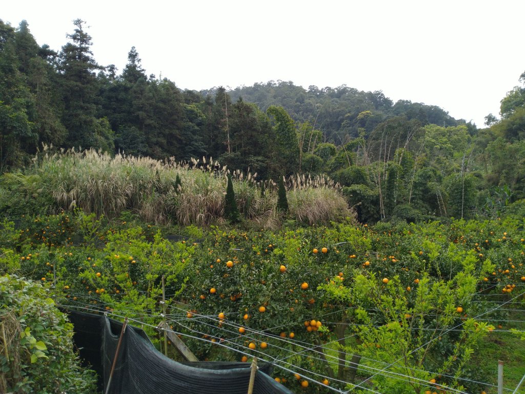 2022-02-26 馬那邦山_1621357