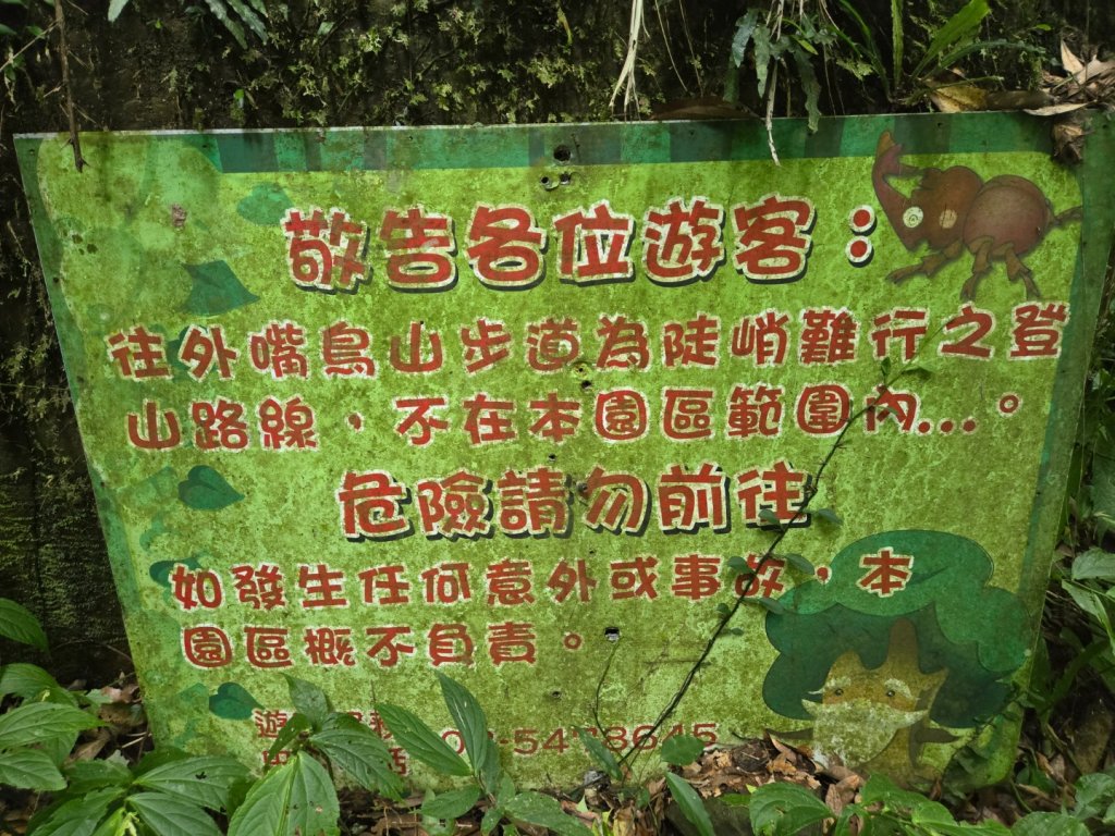 馬武督探索森林、外鳥嘴山_2860606