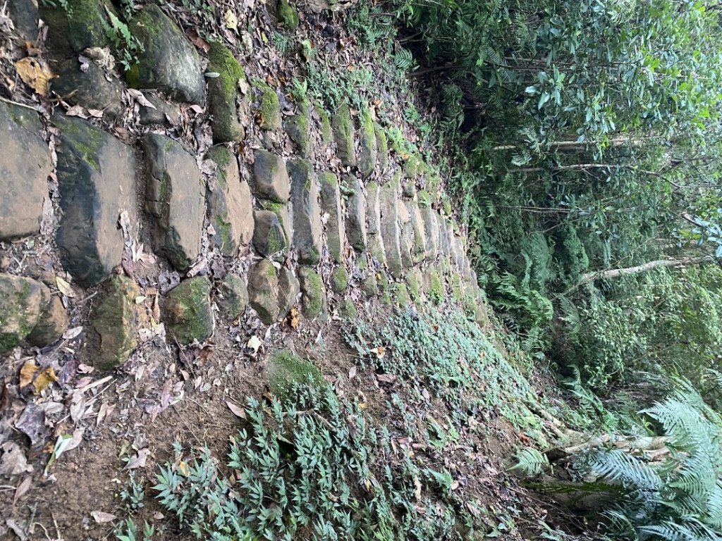 桃園大溪-打鐵寮古道-白石山_2612635