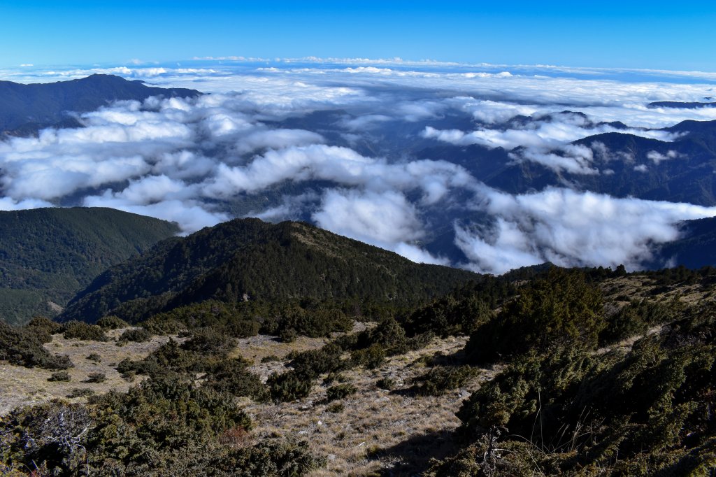 一日南臺首岳 關山(2023.1.13)_1994132
