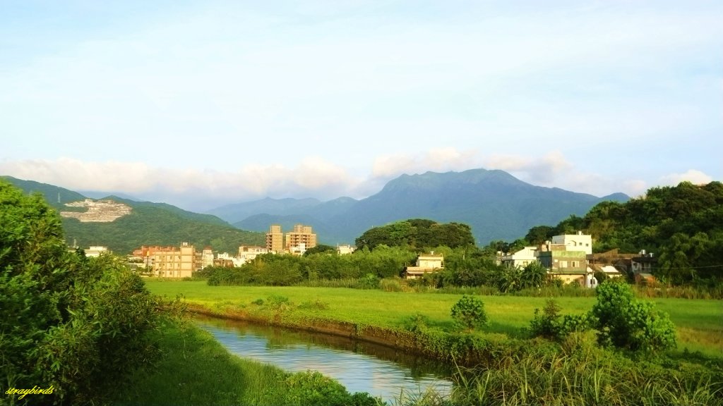 探索神秘海岸~金山桃花源記_632510