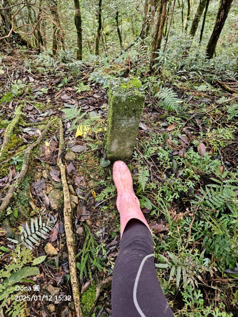 【北插天山】福山上北插天山(整理山徑架繩索布條完工)_2689775