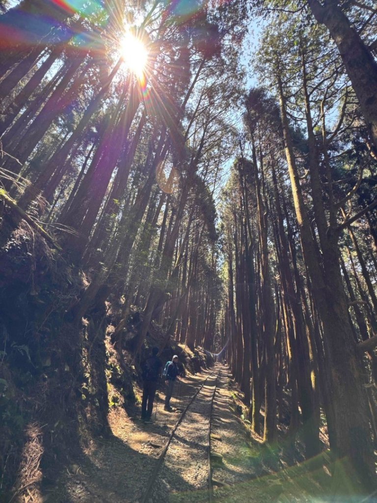 特富野古道>東水西峰>東水山>玉兒山>特富野古道（逆O)_2743767
