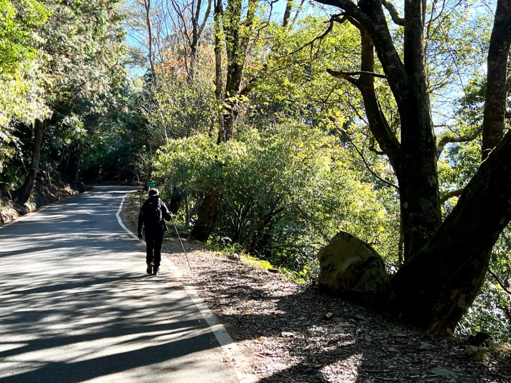 船型山環走大雪山210林道_2978014