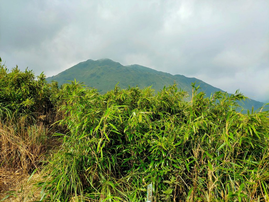 陽明山系-七股山_1465071