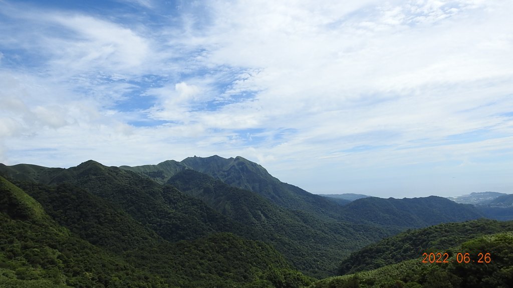 雲山水花鳥蝶-天龍國阿伯的日常6/25&26_1744973