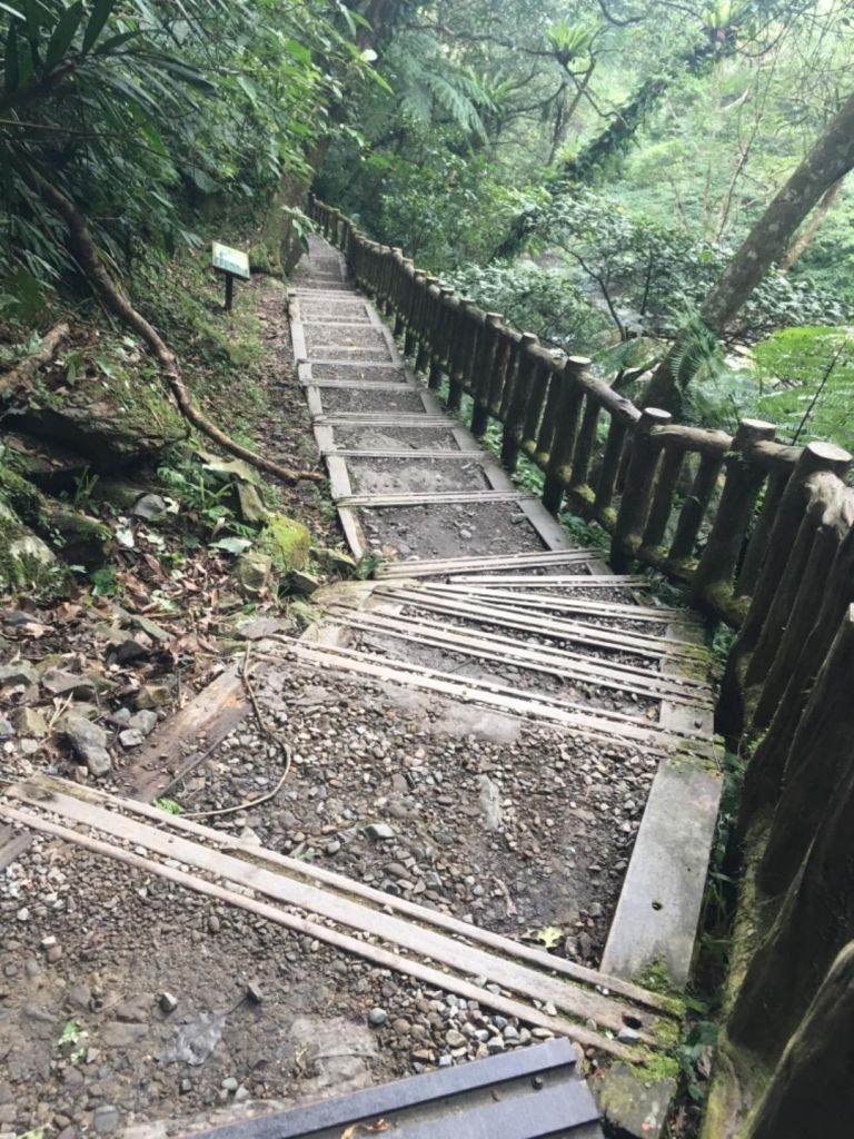 滿月圓森林遊樂區_375665