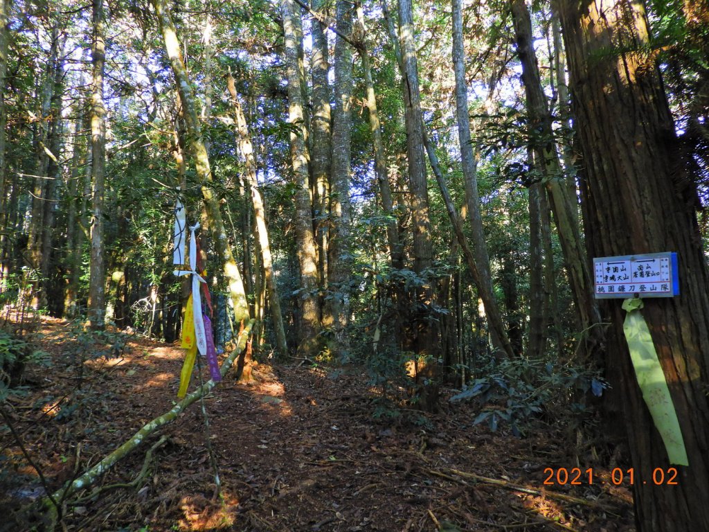 南投 仁愛 守關山、守城大山_1223540