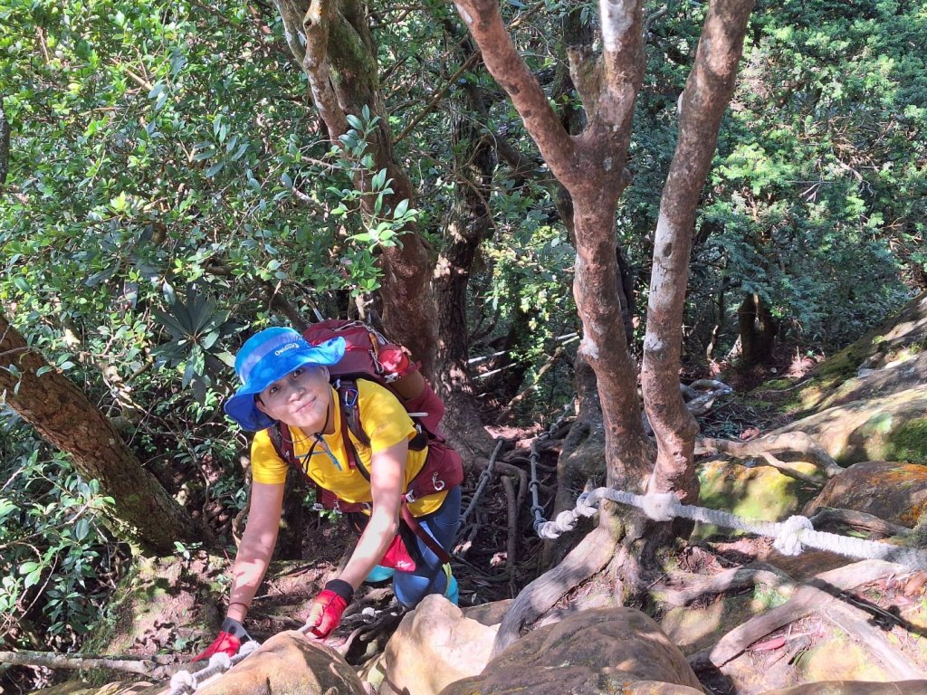 嘎色鬧上那結山_2575537