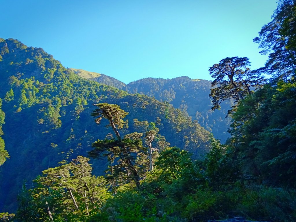 合歡溪步道輕鬆行_1477405