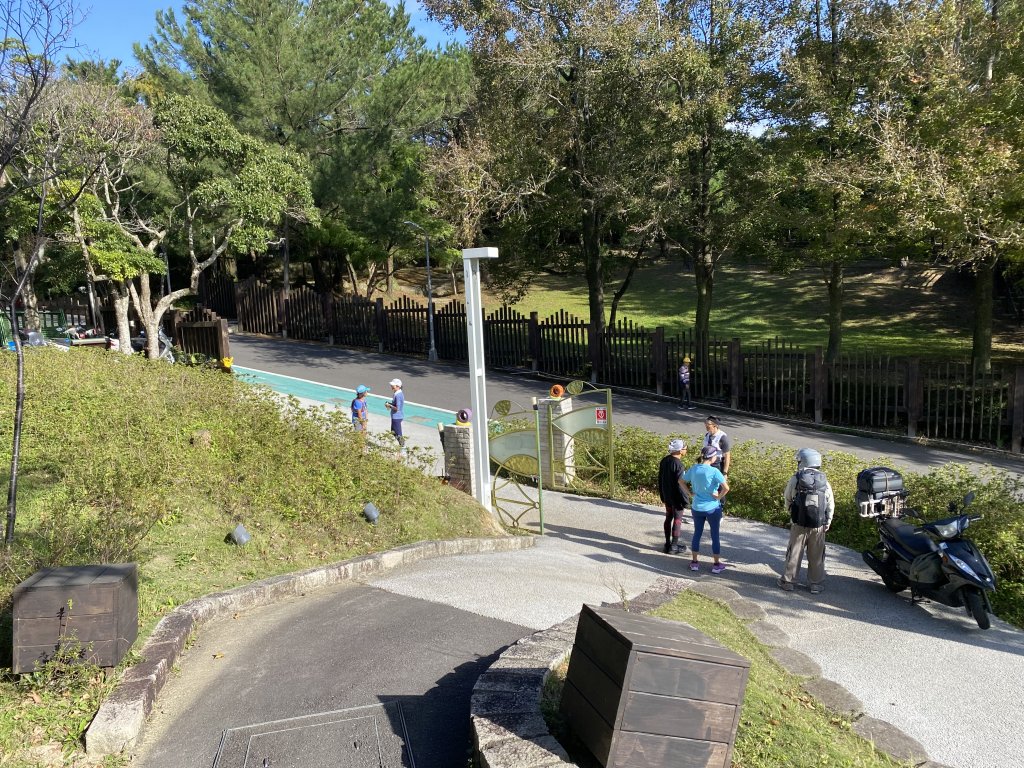 《金瑞治水園區開跑｜重訪金龍產道與碧山營地的暖陽晨跑》_2951625