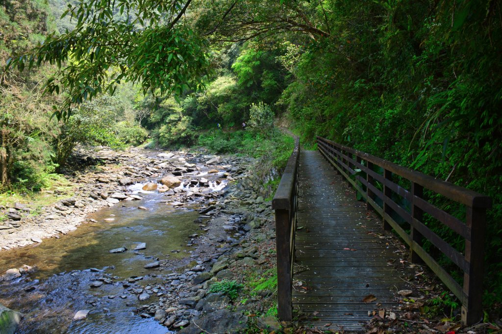 桶后溪越嶺步道_1324868