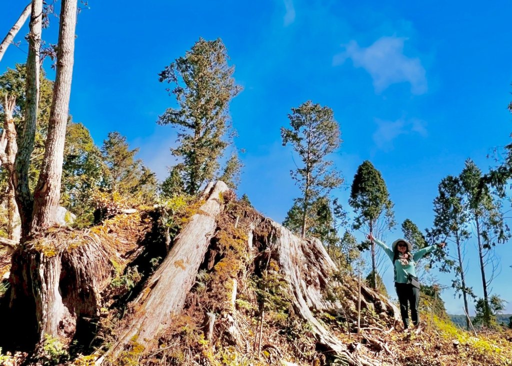 三星山(小百岳#85) 鳩之澤溫泉煮蛋趣_2952842