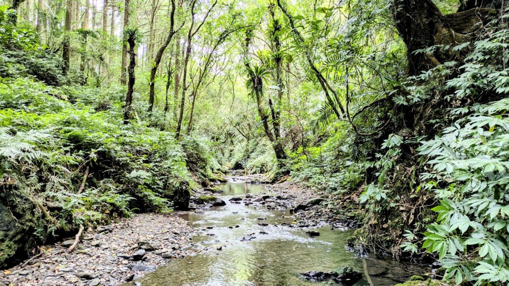 坪溪古道,石空古道封面圖