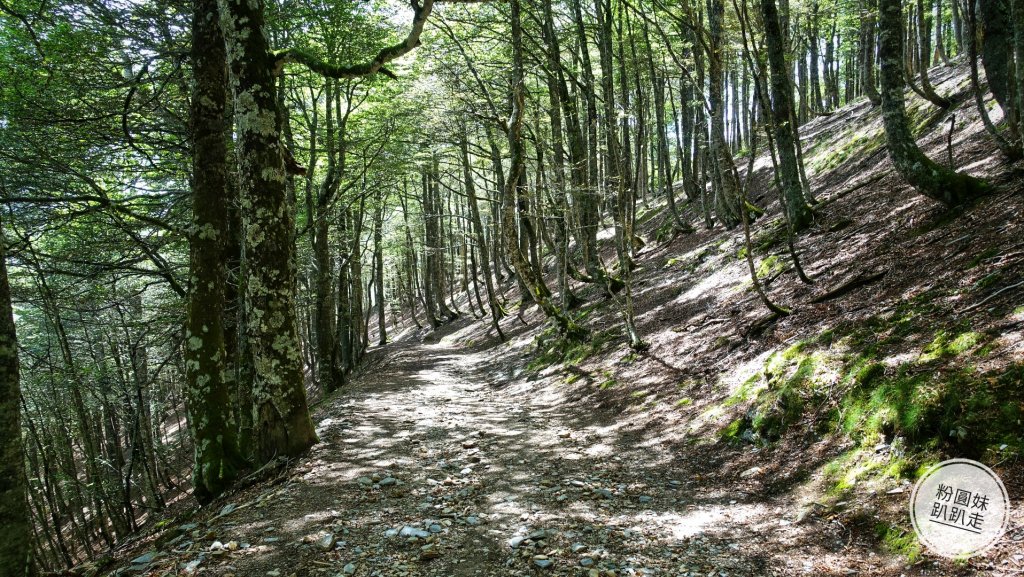 【勇氣2.0朝聖之旅】 D1庇里牛斯山賞雲海_652995