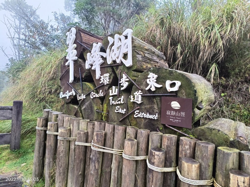 山毛櫸步道_2689009