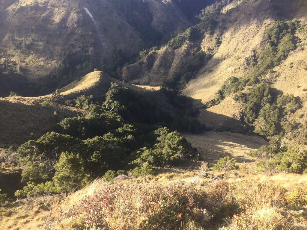 南二段八大秀_655546