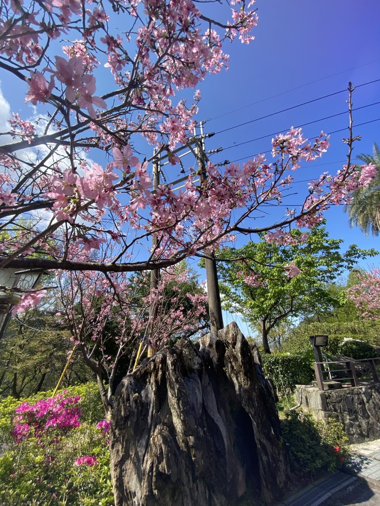 貓空_1305336
