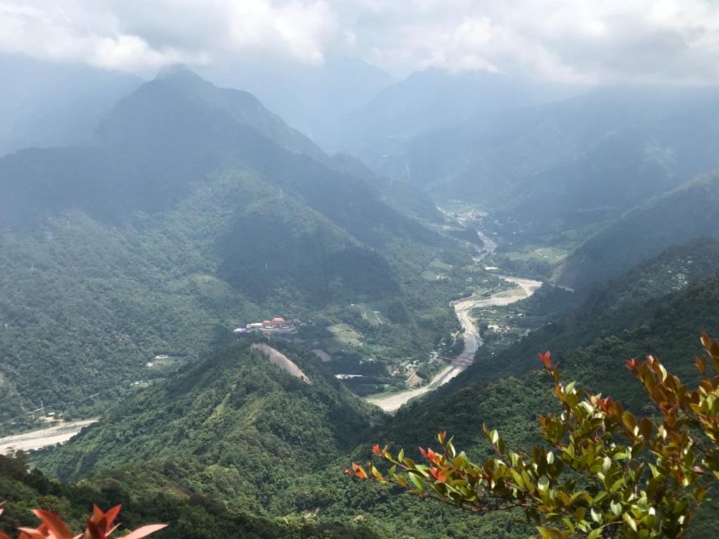 白毛五月看雲飛_335007