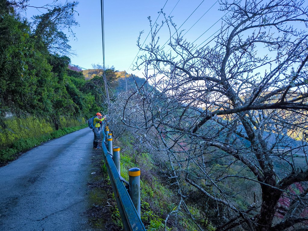 2025-02-16 巴蜈縱走_2714302