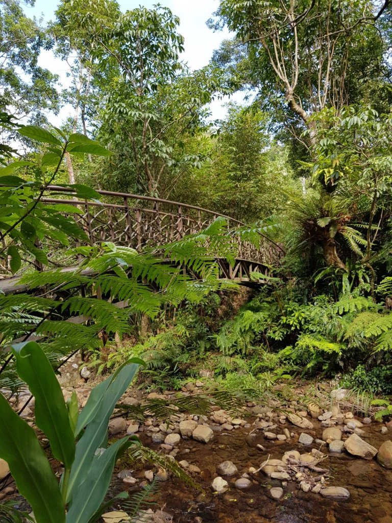 金瓜寮-魚蕨步道_1120529