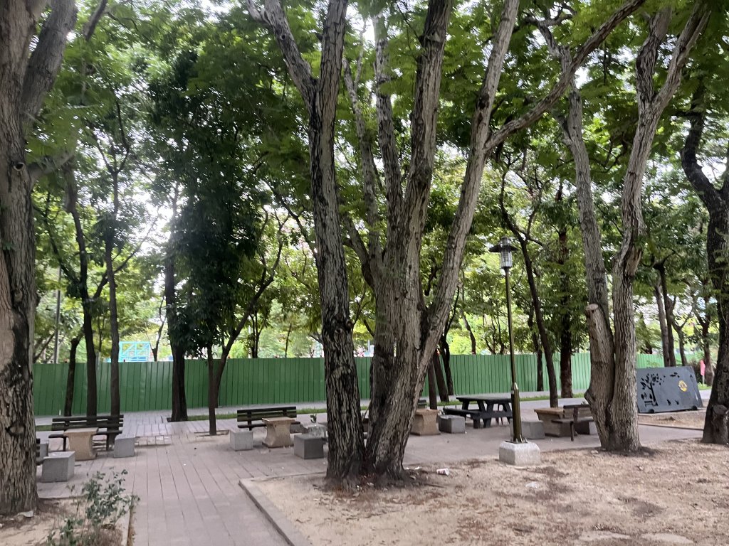 [全臺走路趣尋寶-25/100] 2024_0706_南瀛綠都心公園_2546335