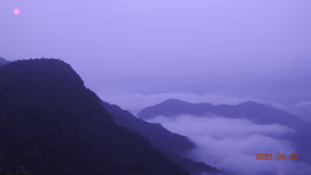 翡翠水庫壩頂(新店四十份)再見日出雲海+賞 #松月櫻 &桐花_2124432