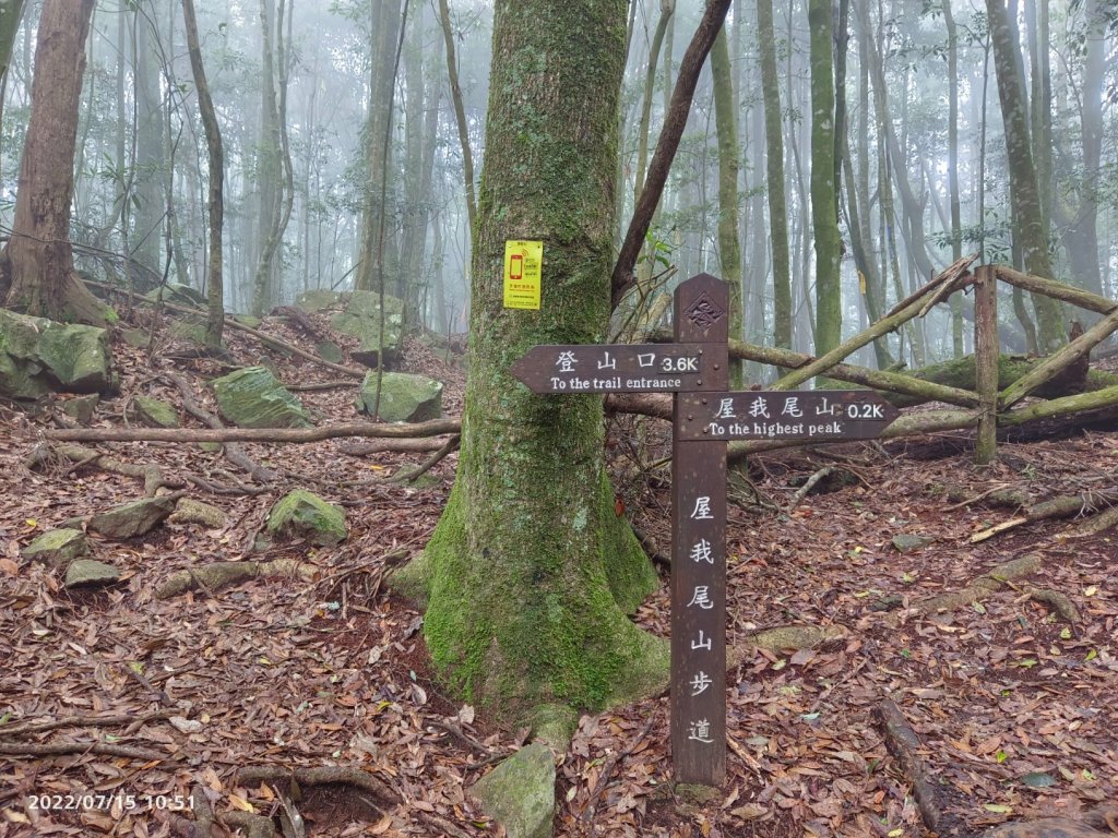 屋我尾山（麗陽）夏日汛期溪水限定版_1765151