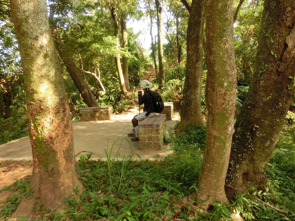 南港山縱走親山步道_174008