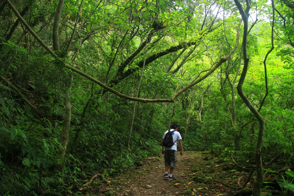 花蓮．佐倉 撒固兒步道2023/04/29_2164665