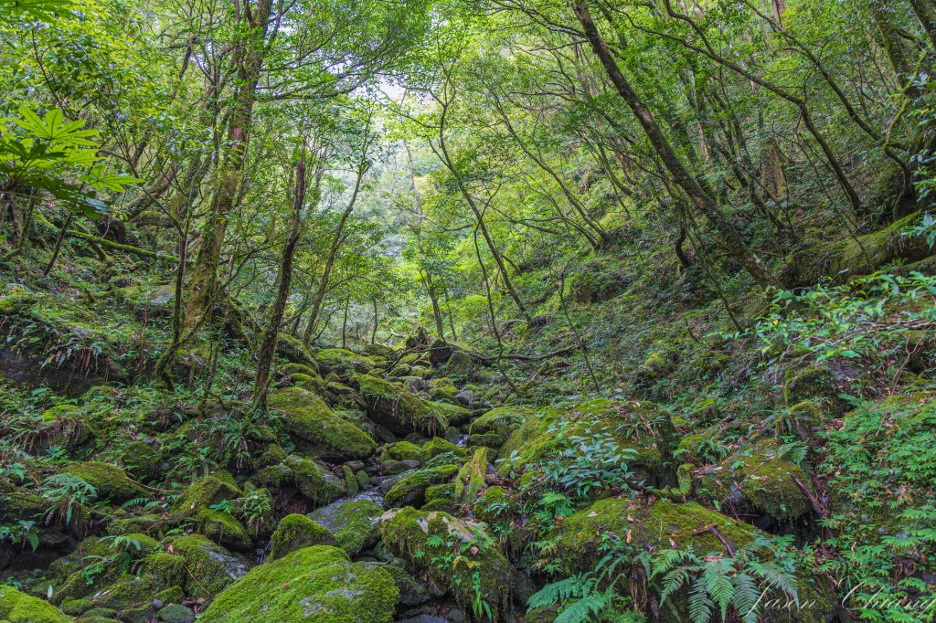 [桃園]北插天山磨練之旅_2532910