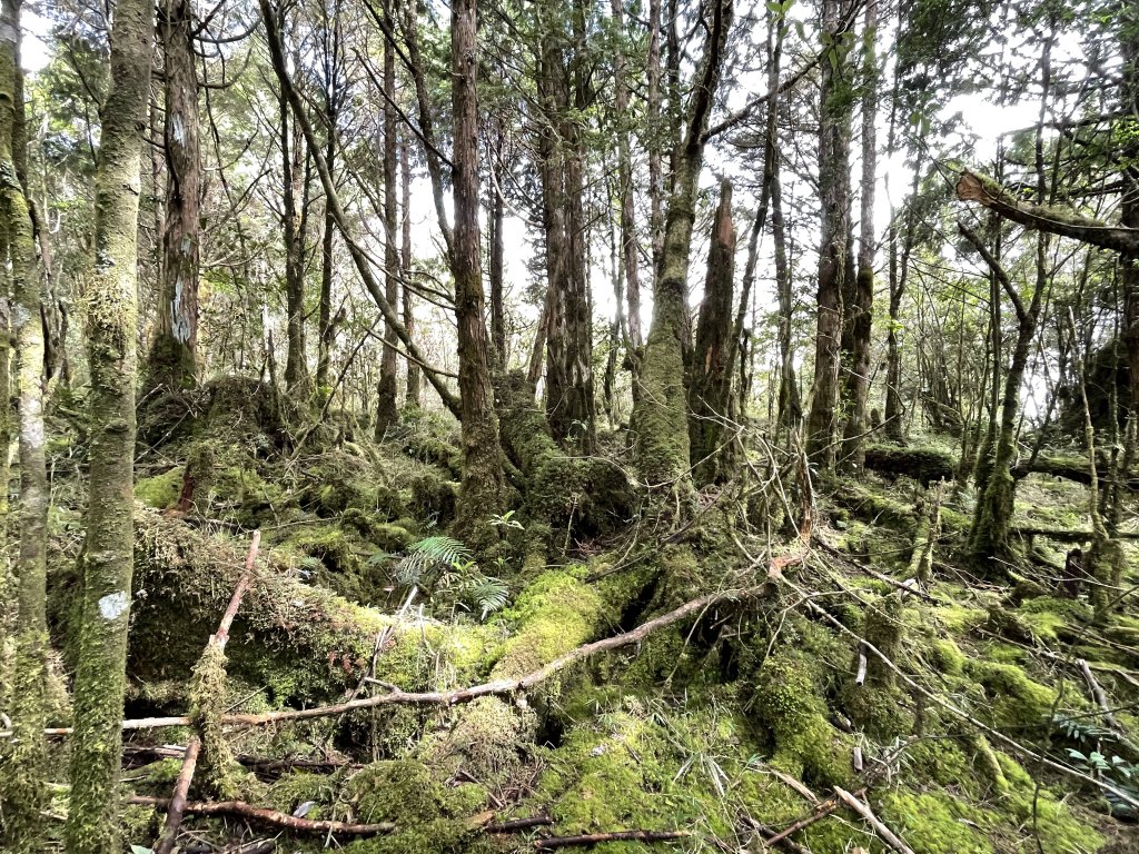 魔幻森林三星山與三星池_1658273