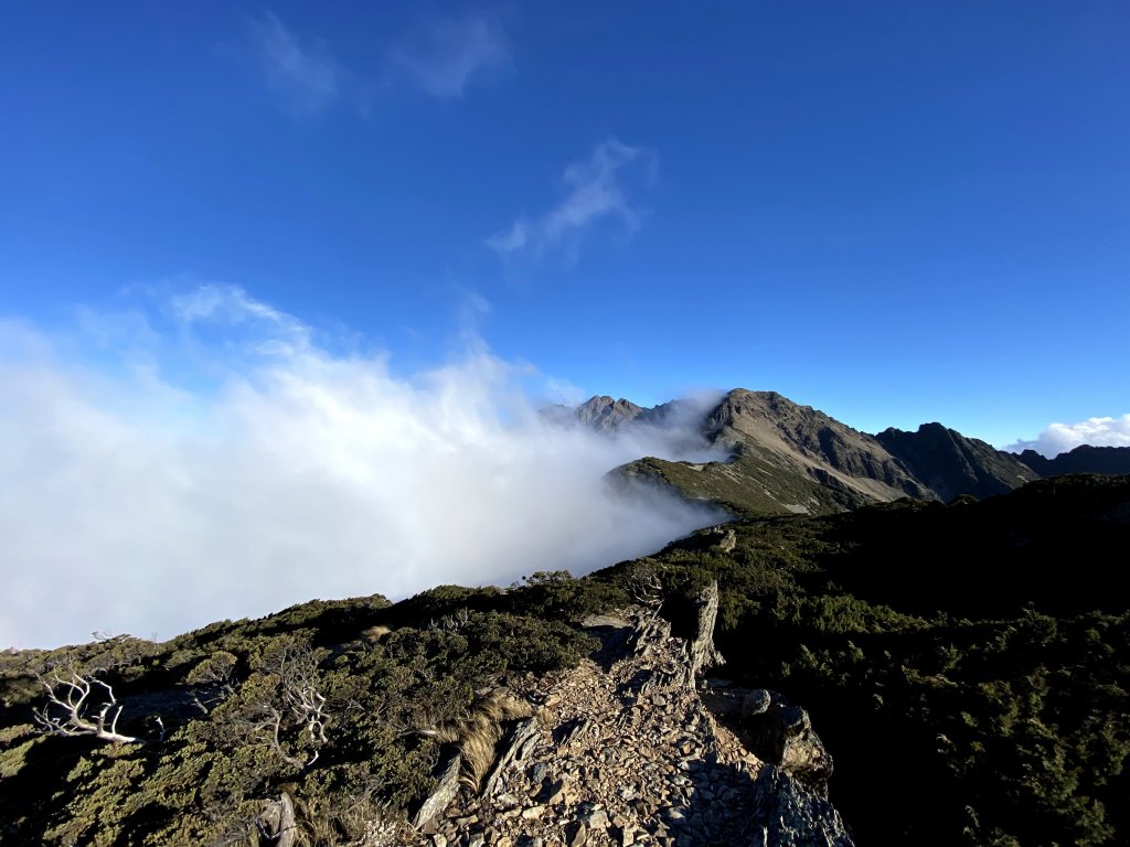 玉山後四峰-不同角度看玉山、圓峰雲海_964360