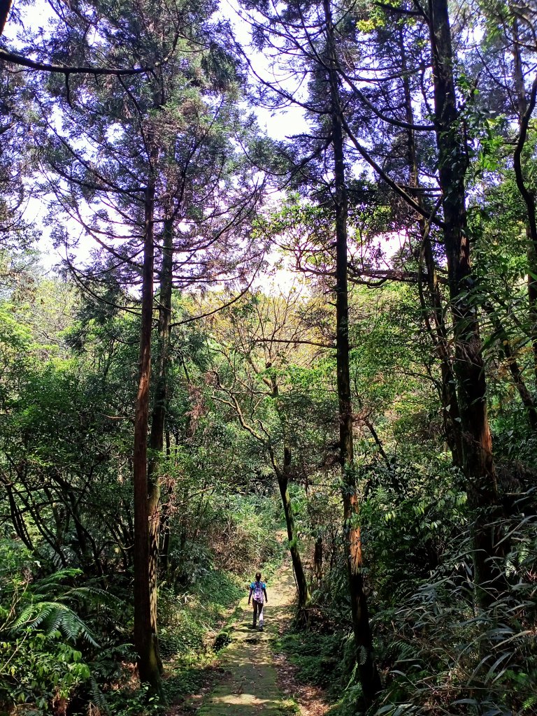 環七星山人車分道、百拉卡公路人車分道【走遍陽明山】_2107393