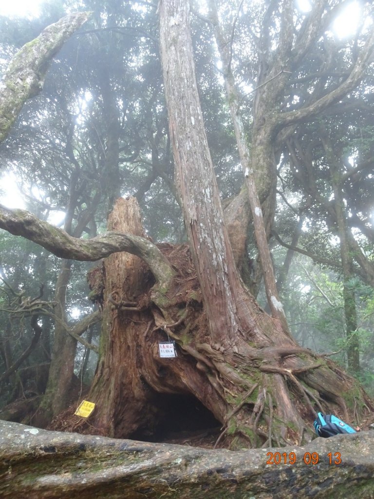 高島縱走封面圖