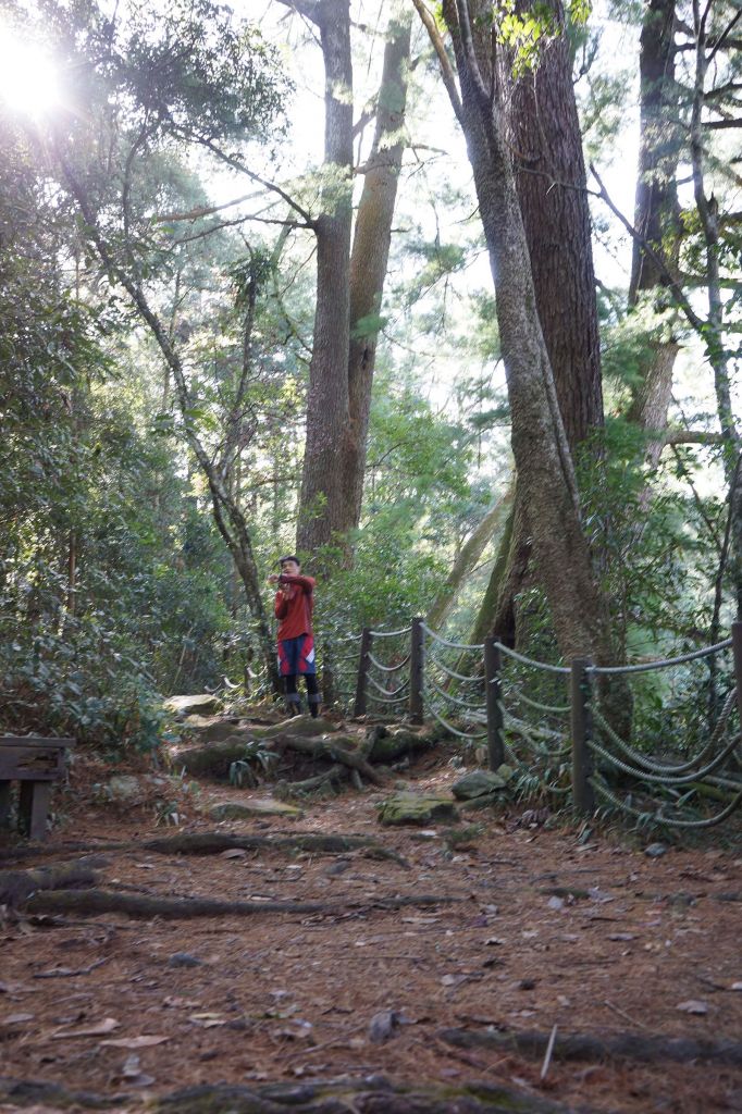 馬崙山露營趣_282396