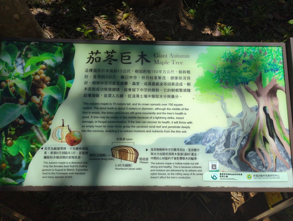 2024.06.09－墾丁國家公園_2523833