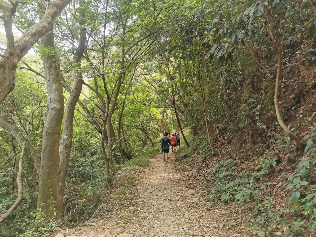田中森林登山步道-依山稜線而建且景觀良好_1048121