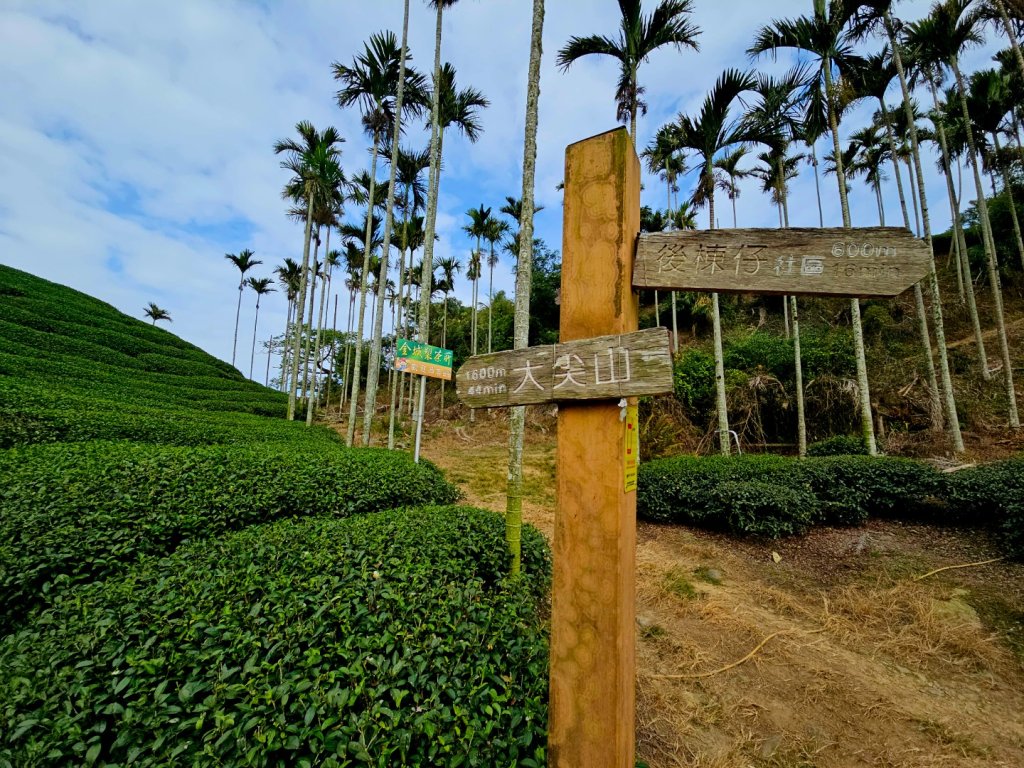 挑筍古道(大尖山、後棟仔山步道)--(雲林)臺灣百大必訪步道_2955751