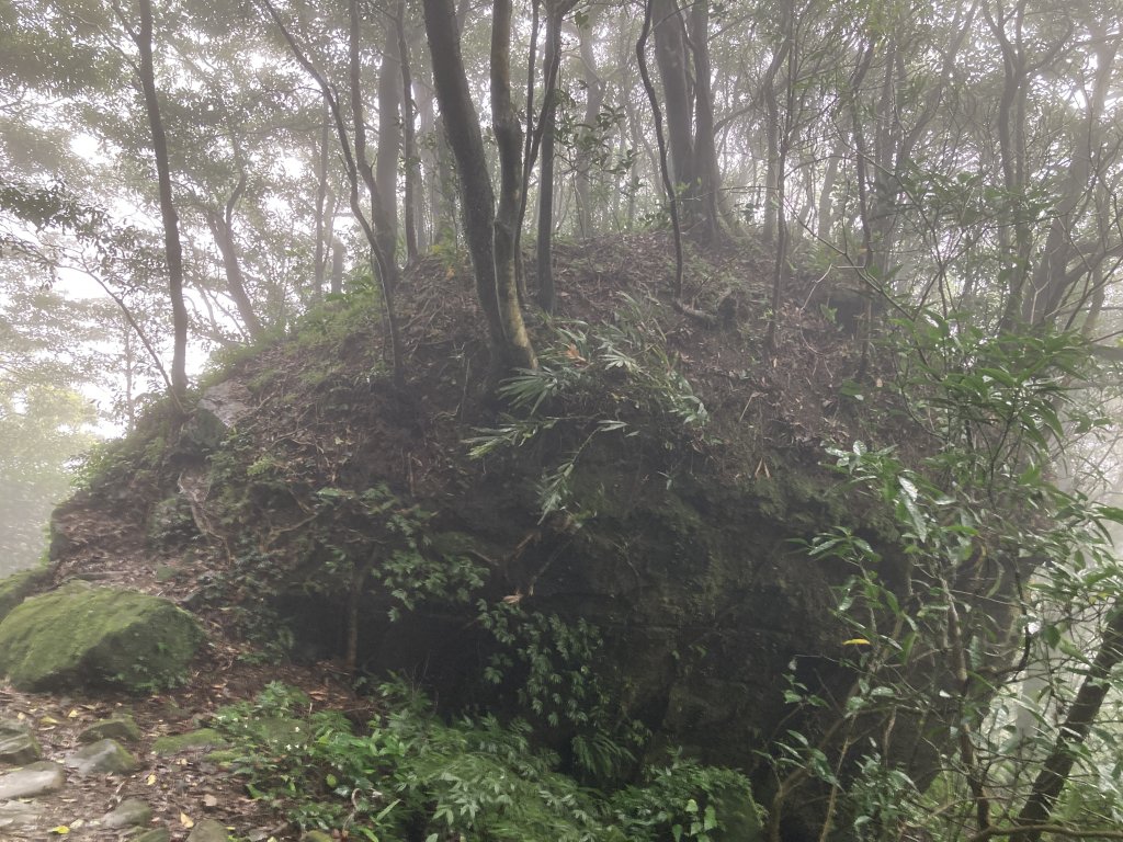 獅仔頭山登山步道_2437094