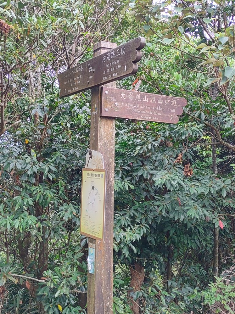 ［金劍縱走］（金面山~劍潭山）（2023/11/14）_2352833