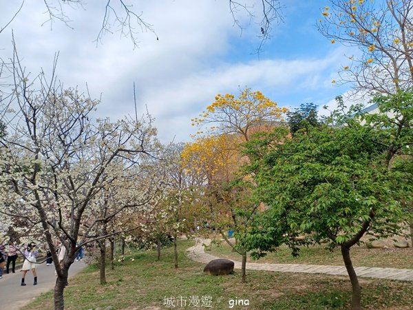 【台中后里】春日賞花。崴立機電櫻花公園_2441593